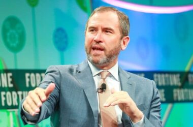 Ripple CEO Comments on Crypto Leaks, Denies Allegations Against Him