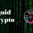 Best Platforms Where You Can Buy Squid Crypto