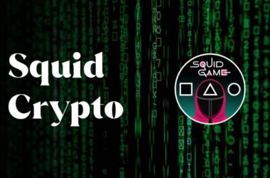 Best Platforms Where You Can Buy Squid Crypto