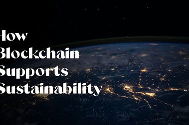 Ways Features of Blockchain Support Sustainability in Business, Finance, and Agriculture
